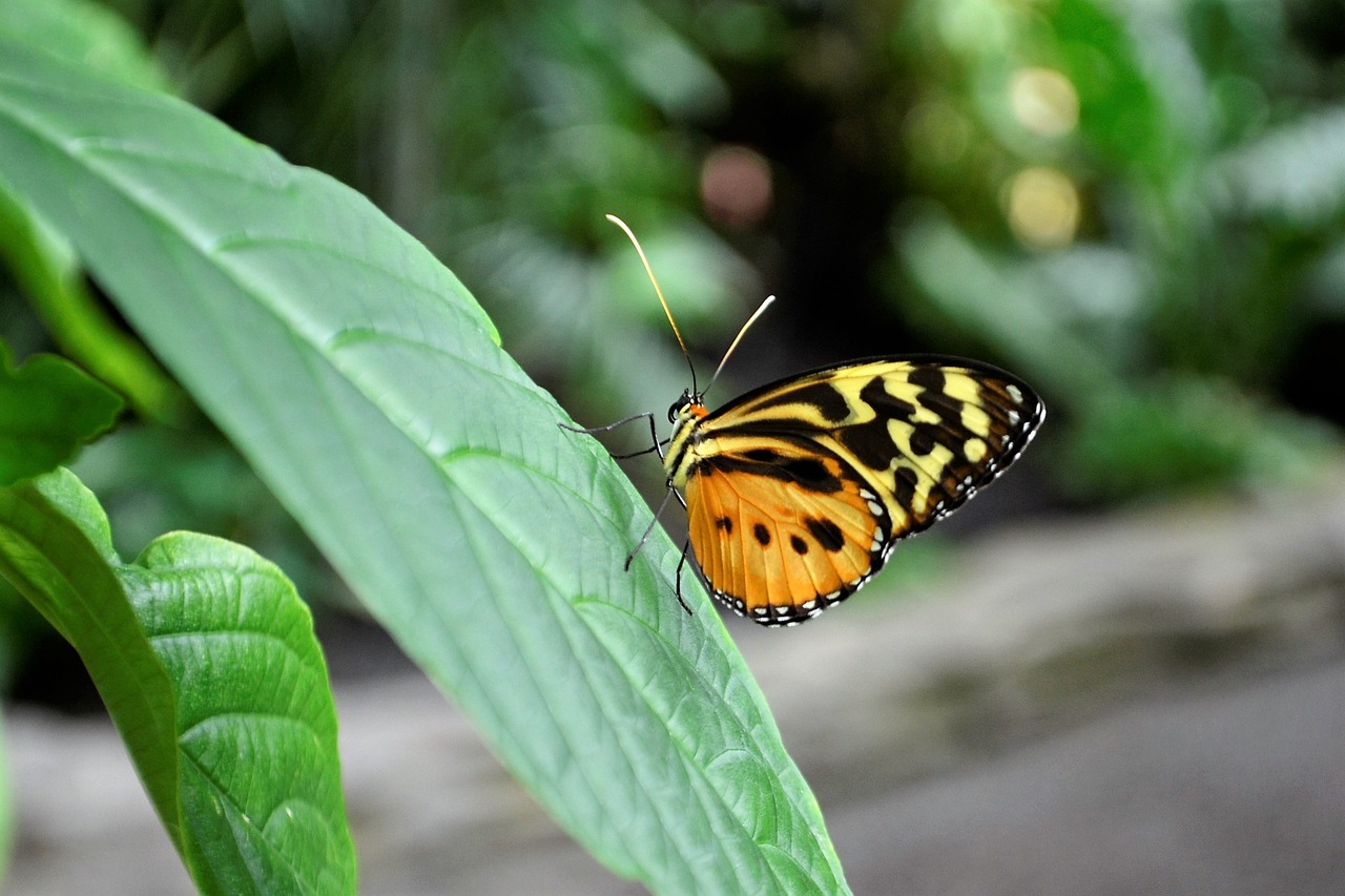 The Benefits of Eco-Friendly Transportation